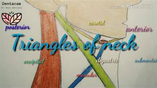 easy way to remember Triangles of neck [upl. by Levitus532]