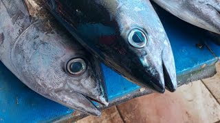 Live 04 Aug 24 ‼️🔥 Cutting fresh yellowfin tuna by skilled hands at Sorong market in Indonesia [upl. by Manning]