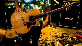 Hohner Gruhn Design F1C Acoustic Guitar review [upl. by Eendyc]