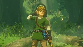 getting the fully upgraded master sword in modded botw [upl. by Flynn260]