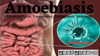 Amoebiasis  Dysentery  Causative Agent Transmission Pathogenesis Diagnosis and Treatment [upl. by Drislane473]