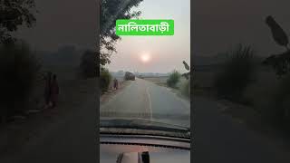 নালিতাবাড়ী। Nalitabari Mithun music song hindisong retro nature travel mithun nalitabari [upl. by Aneger]