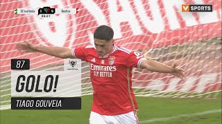 Golo Tiago Gouveia Lusitânia 14 Benfica Taça de Portugal 2324 [upl. by Cantlon]