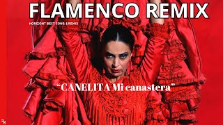 Flamenco Remix  Canelita  Mi canastera [upl. by Aniuqal]