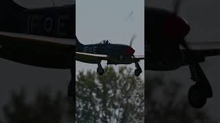 Realistic RC Hawker Tempest Clostermann Landing with Gear Down short shorts [upl. by Okihcim]