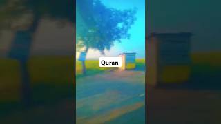 Surah  ul  Anaam 6 Ayat 161 163 💫 Urdu translation Islamic videos shorts [upl. by Stephi127]