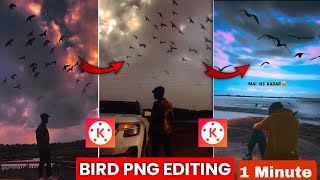 Bird PNG Editing 1 minute main smartphone editing videoediting instareels newedit kinemaster [upl. by Enaid]