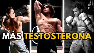 7 HÁBITOS para AUMENTAR tu TESTOSTERONA y ser MASCULINO [upl. by Marnia]