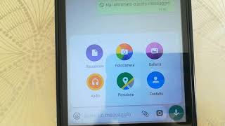 Come Condividere la Posizione su WhatsApp [upl. by Hairej]