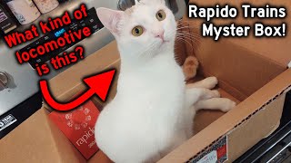 Unboxing a Rapido Trains Inc 2024 HO Scale Mystery Box [upl. by Hgielram]