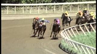 Easy Goer  1988 Saratoga Maiden Race [upl. by Vijnas]