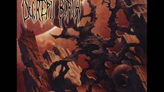 Decrepit Birth  10 Essence of Creation [upl. by Asilehc]