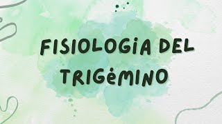 Fisiología del trigémino [upl. by Elizabeth]