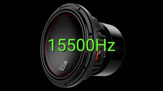 Tone frequency 15500Hz Test your hearing speakersheadphonessubwoofer [upl. by Ecirtac443]