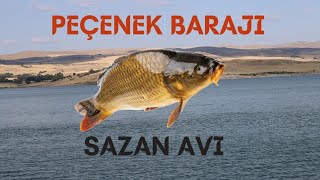 PEÇENEK BARAJI SAZAN AVI [upl. by Ginelle101]