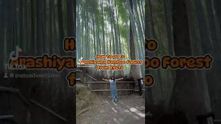 Arashiyama Bamboo Forest from Kyoto by bus 🇯🇵 [upl. by Nole]