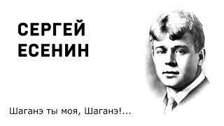 Сергей Есенин Шаганэ ты моя Шаганэ Учить стихи легко Аудио Стихи Слушать Онлайн [upl. by Alacim]