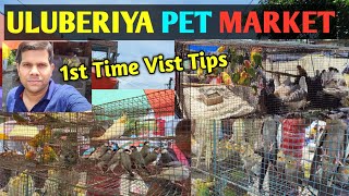 ULUBERIYA PETS MARKET Time uluberiya uluberiabirdmarket kanhaiyasir kolkatabirdmarket [upl. by Meer]