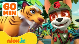 PAW Patrols Jungle Pups Rescue Giant Animals 🐯 w Marshall amp Tracker  1 Hour  Nick Jr [upl. by Olcott]