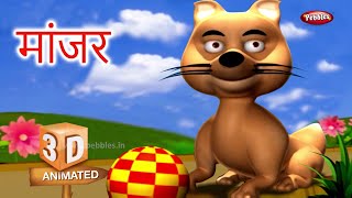 Cat Rhyme in Marathi  Marathi Rhymes For Kids  मराठी कविता  Animal Rhymes For Kids in Marathi [upl. by Akeimat]