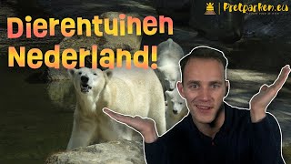 Wat zijn de leukste dierentuinen in Nederland [upl. by Nnaeilsel78]