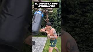 ASI LE PEGA A LA BOLSA EL OSO mds kick dailyvlog youtubeshorts shorts humor [upl. by Jaycee]