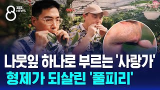 나뭇잎 하나로 부르는 사랑가…형제가 되살린 풀피리  SBS 8뉴스 [upl. by Mozes518]