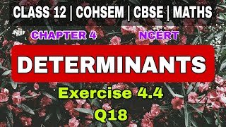 Exercise 44  Q18  Determinants  chapter 4  class 12  cohsem  ncert  maths [upl. by Nnylcaj]