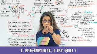 LEPIGENETIQUE CEST QUOI [upl. by Rosalynd]