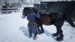 6 Breton horse exist in RDR2 [upl. by Nezam233]