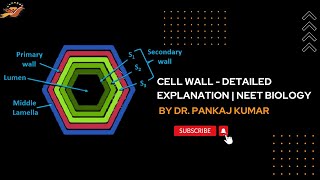 Cell Wall [upl. by Lhok]