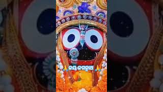 New jagannath status video ଜୟ ଜଗନ୍ନାଥ 🌸🙏🌸 [upl. by Terrance]