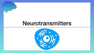 How do Neurotransmitters Work Chemical Activity in the Brain [upl. by Eilsehc]