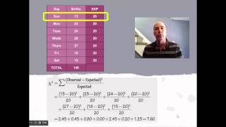 111 ChiSquared Goodness of Fit Test [upl. by Notnel]