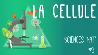 Tout savoir sur la cellule en 6 minutes [upl. by Yentiw]