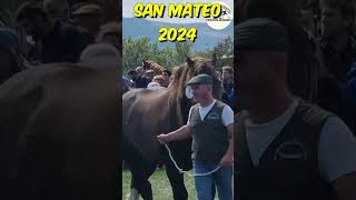 💪🐎🏔️FERIA DE SAN MATEO 2024🏔️🐎 horse horsebreed caballos horselovers [upl. by Nnaylloh261]