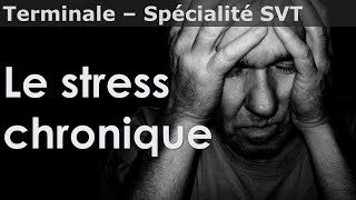 Stress chronique  SVT  Terminale [upl. by Welby]