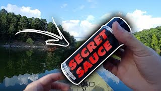 Bass fishing with BANG GARLIC SPRAY  IT WORKED BASS FISHING SPRAY [upl. by Conrade]