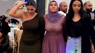 Kurd Wedding Dance  Traditional Kurdish Dance [upl. by Cowden427]