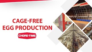 ChoreTime Cage Free Solutions Overview [upl. by Osnofledi]