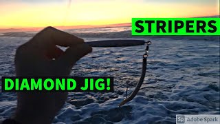 Striped Bass On Diamond Jigs Long Island Surf Fishing Late Fall Run [upl. by Nalro]