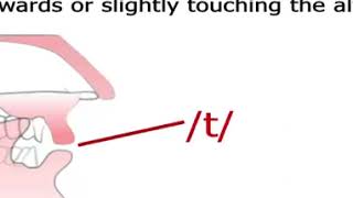 Know Identify Your Alveolar Ridge And Its Functions Speechorgans speechproduction [upl. by Avrit284]