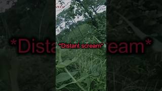 Terrifying Hiking Footage creepy [upl. by Kathrine]