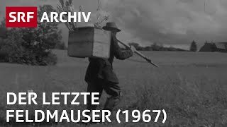 Beruf Feldmauser 1967  Berufe die es so nicht mehr gibt  SRF Archiv [upl. by Nae]