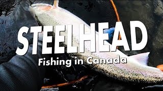 Steelhead Fishing in Canada  A Short Video [upl. by Annol379]