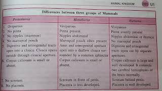 difference between protheria metatheria and eutheria mammals best handwritten study notes [upl. by Danya405]