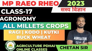 Class17  All Millets crops  Nutri cereals  रागी कोदो कुटकी  MP RAEO RHEO SADO  By Chetan Sir [upl. by Ahtreb]