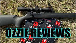 CZ quot457 Syntheticquot 22lr Rifle with accuracy testing [upl. by Ayot]