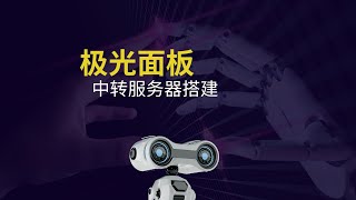 2024从零开始：极光面板ampv2board中转服务器完整教程techbyte [upl. by Noxaj]