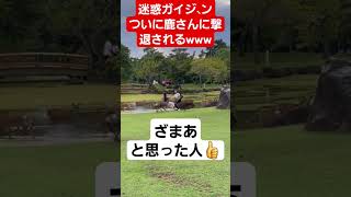 鹿にボウ、力を振るったガイジ、ンが遂に反撃されてしまうww奈良公園の鹿 へずまりゅうおすすめ [upl. by Ennayar]